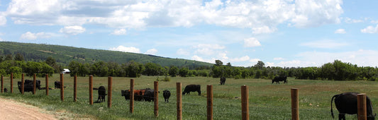 Know your source. Do you know where your beef comes from?