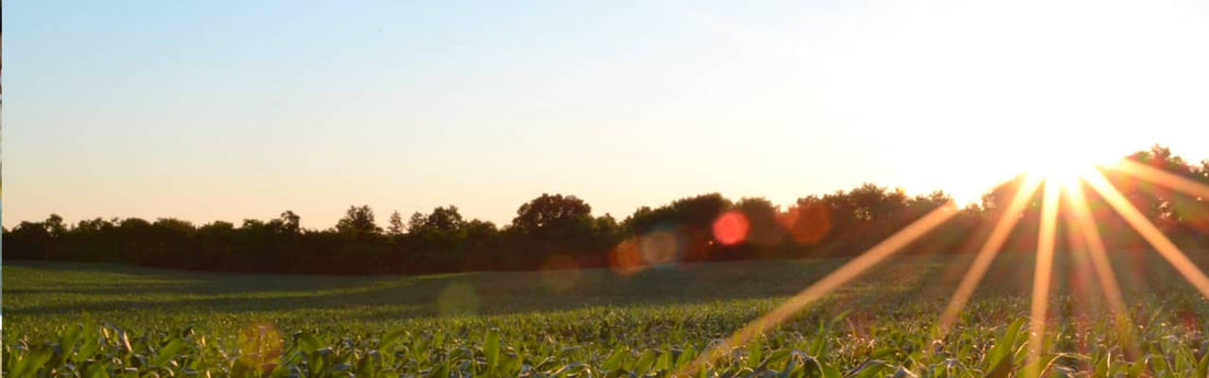 Cross Creek Ranch Farming Practices