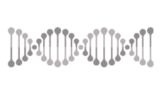 Wagyu Genetics DNA Strand