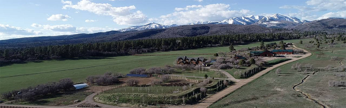 History of Cross Creek Ranch
